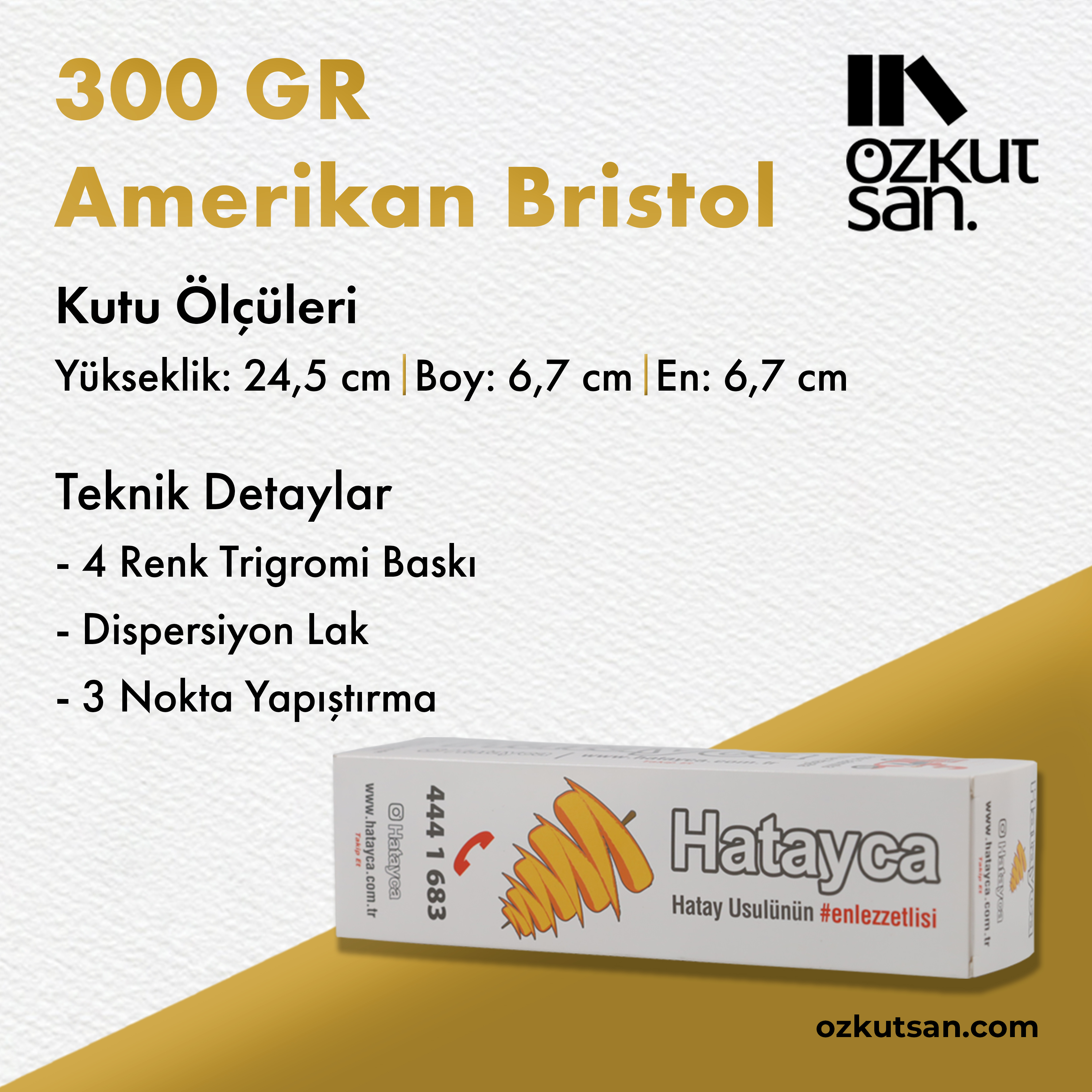 Amerikan Bristol (300 Gr)