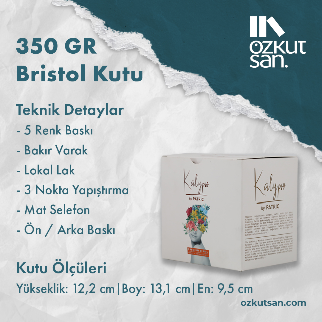 Bristol Kutu (350 Gr)