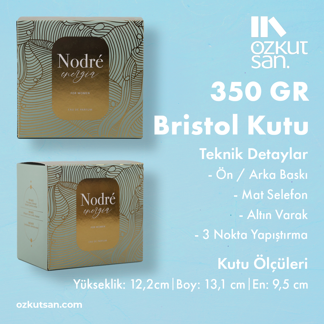 Bristol Kutu (350 Gr)